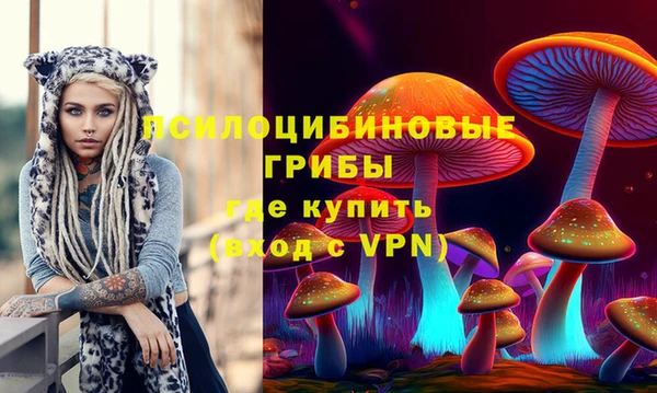 тгк Алексин