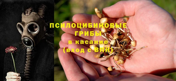 ешки Алексеевка